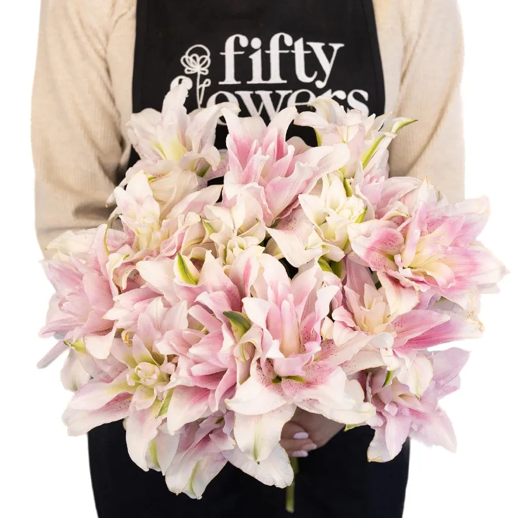 Candy Ice Double Bloom Lily