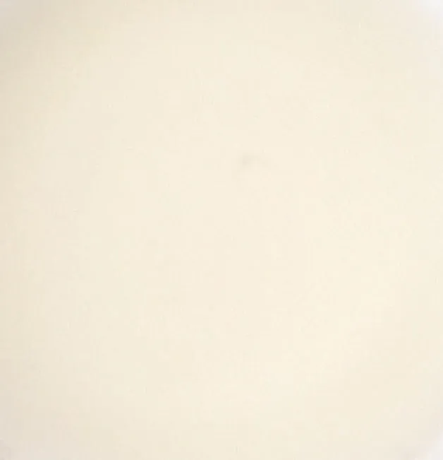 Coconut Flavored Lip Balm Kissing Stick