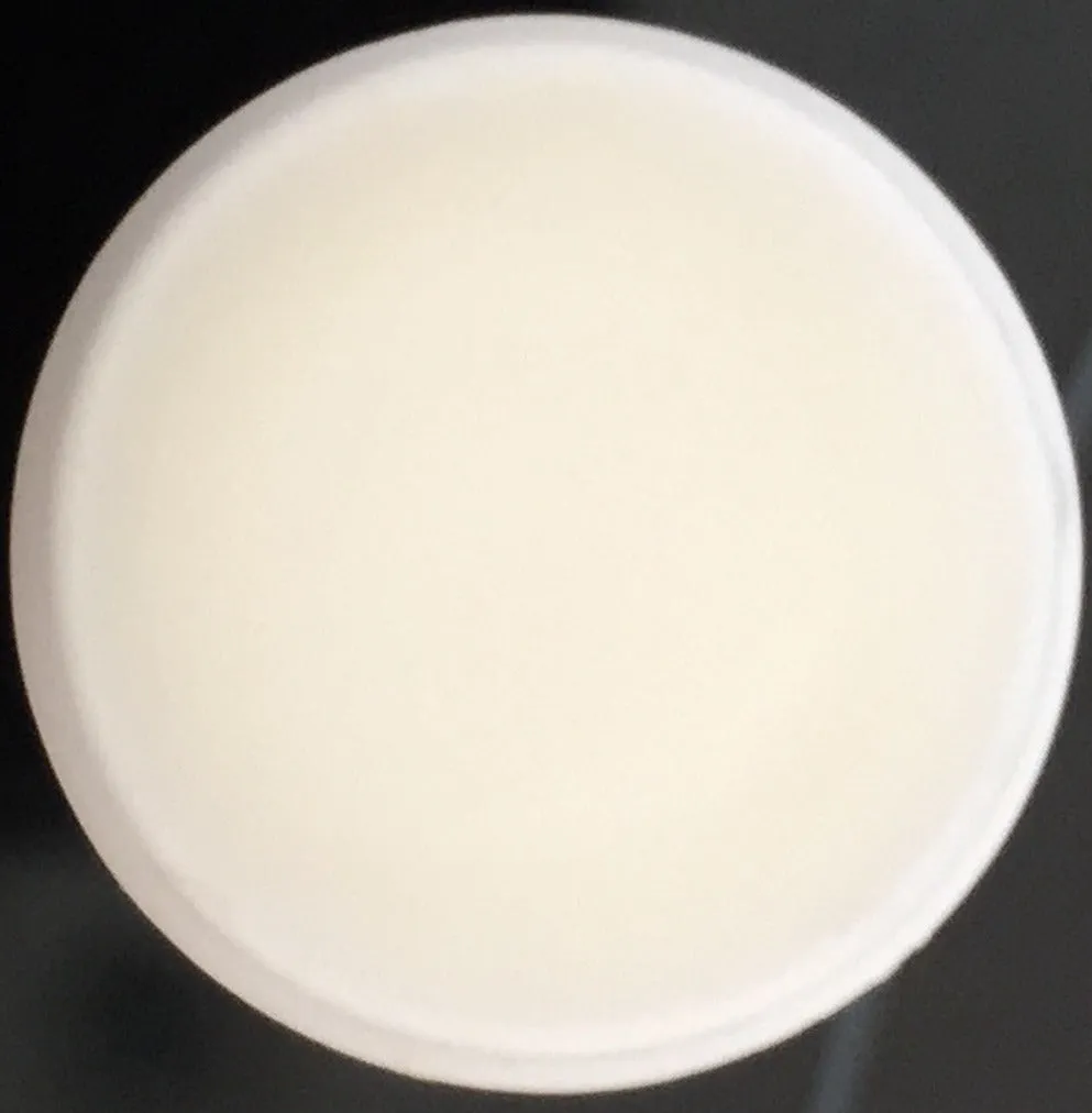 Coconut Flavored Lip Balm Kissing Stick