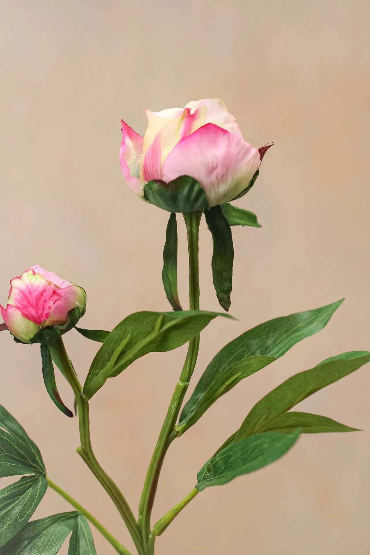 Faux Blush Pink Tight Bud Peony Stem