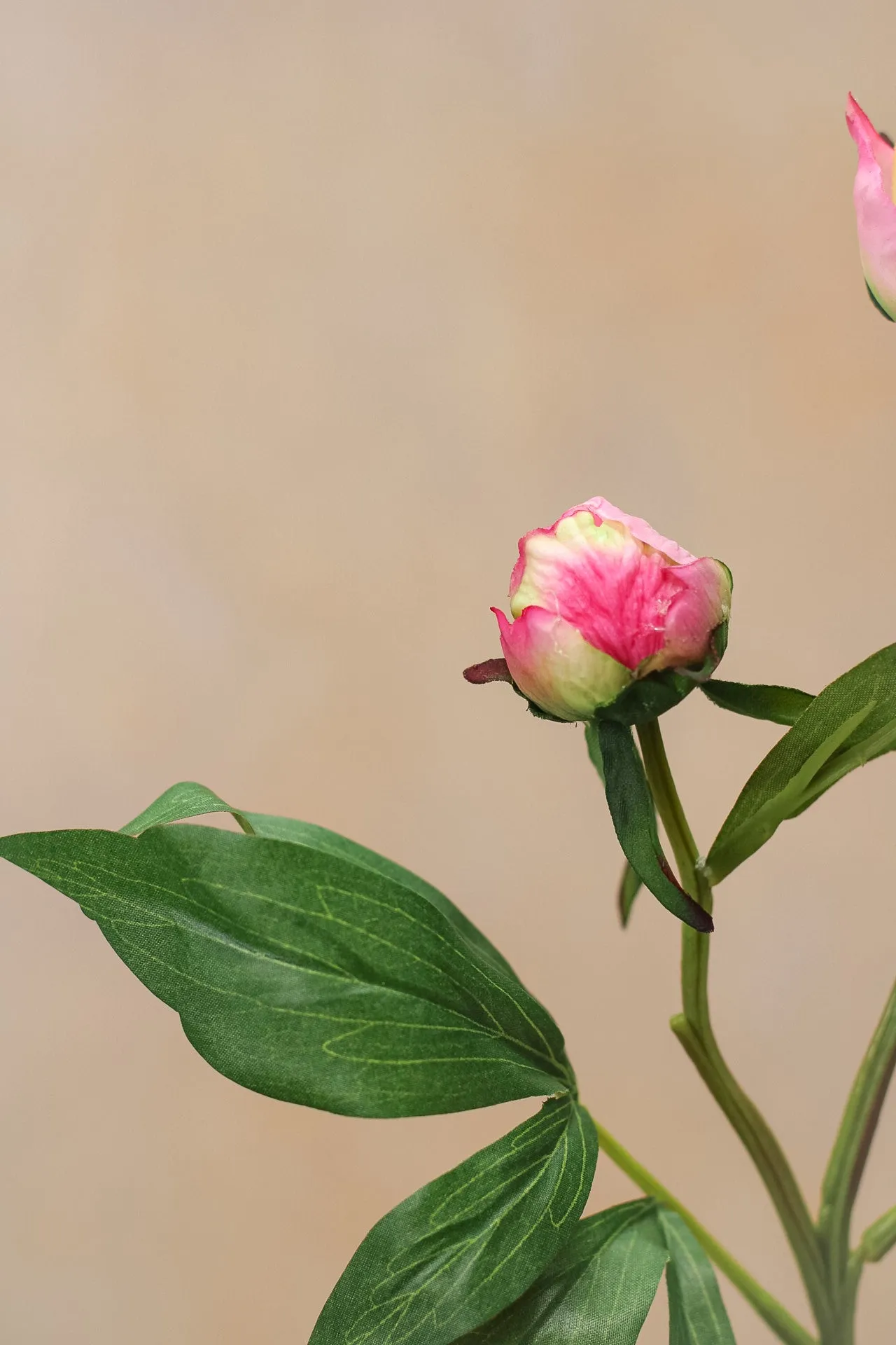 Faux Blush Pink Tight Bud Peony Stem
