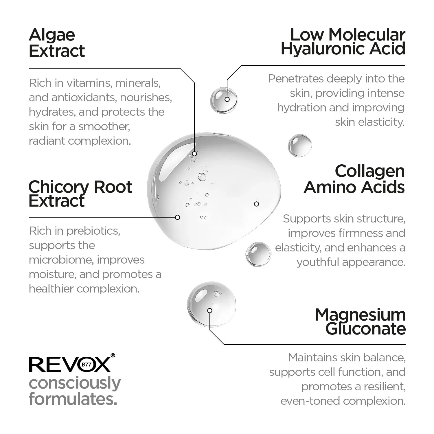 Marine Collagen   HA