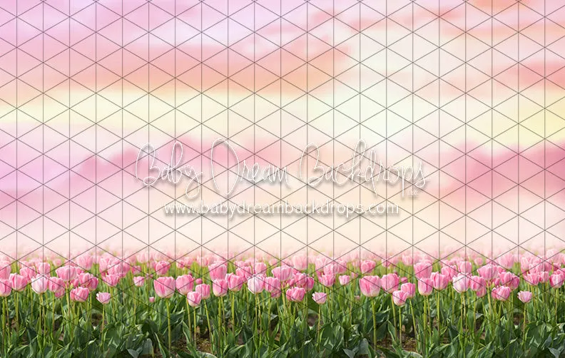 Perfectly Pink Tulips (CC)