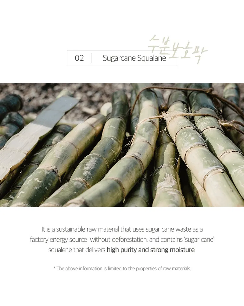 ROUND LAB Soybean Cleansing Oil