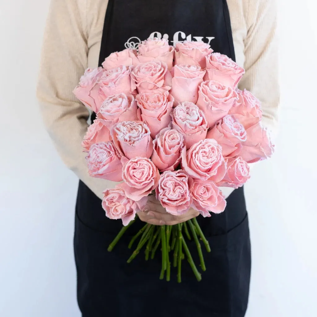 Tinted Blush Pink Fuzzy Roses